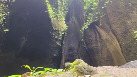 entrance to a cave in bali with moss and ivy on the surrounding rocks. low angle with slow tilt up.
