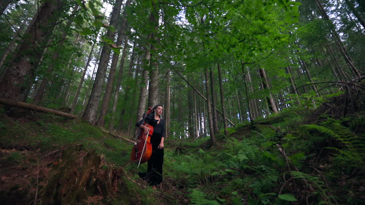 Girl with musical instrument. Young beautiful girl with cello outside