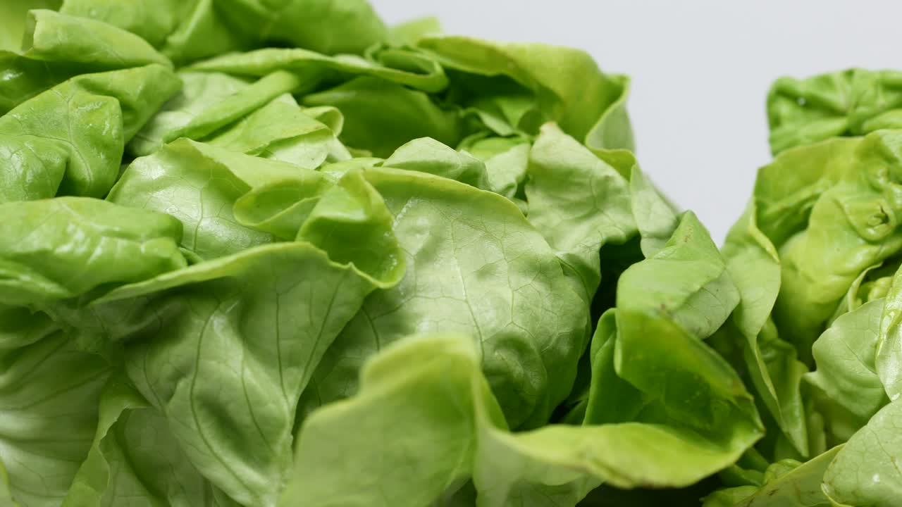 primer plano de lechuga fresca