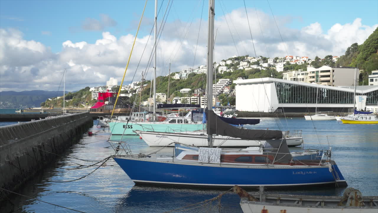barcos de colores atracados en uno de los puertos deportivos de wellington en nueva zelanda