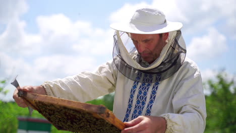beekeeper holding a honeycomb full of bees. beekeeper inspecting honeycomb frame at apiary on sky background. beekeeping concept.