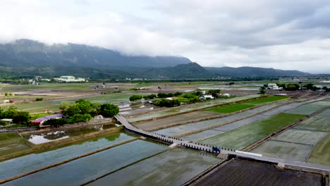 Lush-green-fields-with-water-channels,-mountain-backdrop,-cloudy-sky,-aerial-view