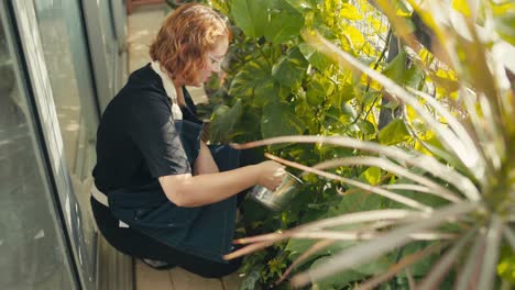 mujer joven de cabello rojo con gafas regando las plantas del jardín con un cubo de metal