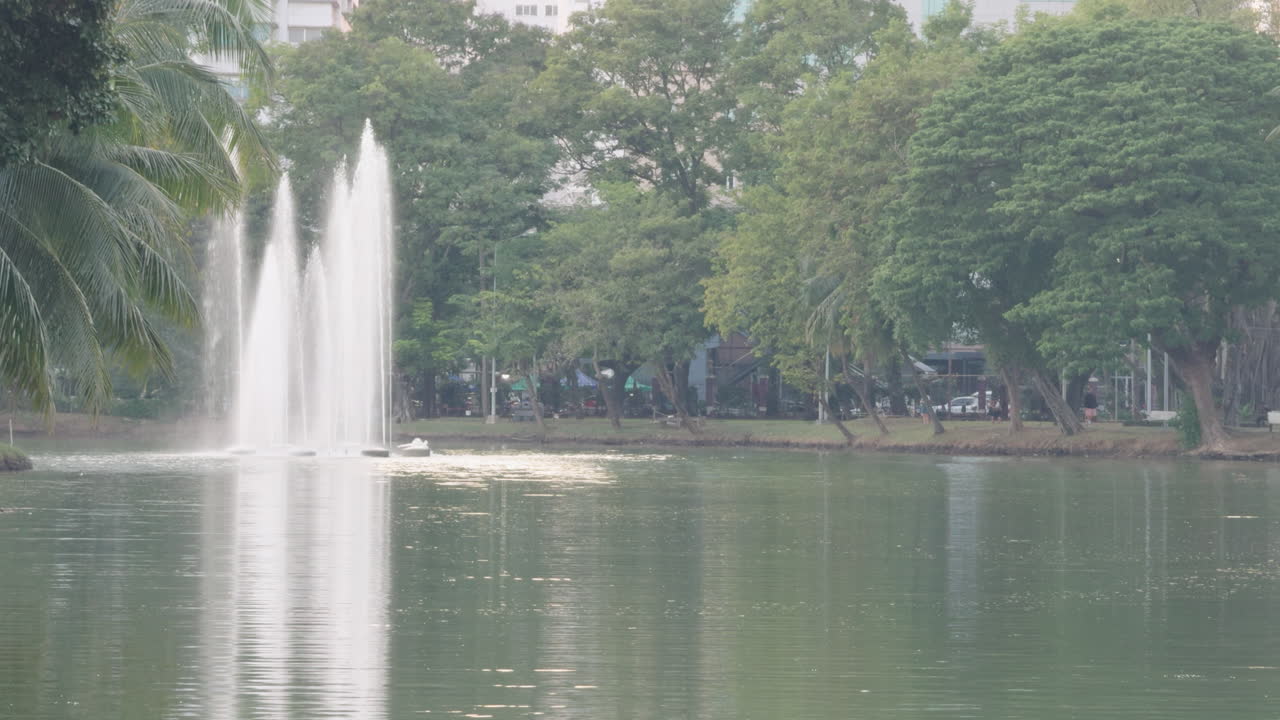 Lumpini-søens skovpark i Bangkok, Thailand. Prores bynatur.