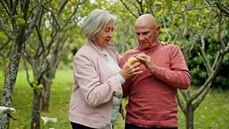 Pareja-Mayor,-árbol-Frutal-Y-Caminar-Al-Aire-Libre