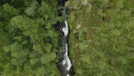 Vista-De-Arriba-Hacia-Abajo-De-La-Montaña-Con-Rápidos-Rodeados-De-Bosque