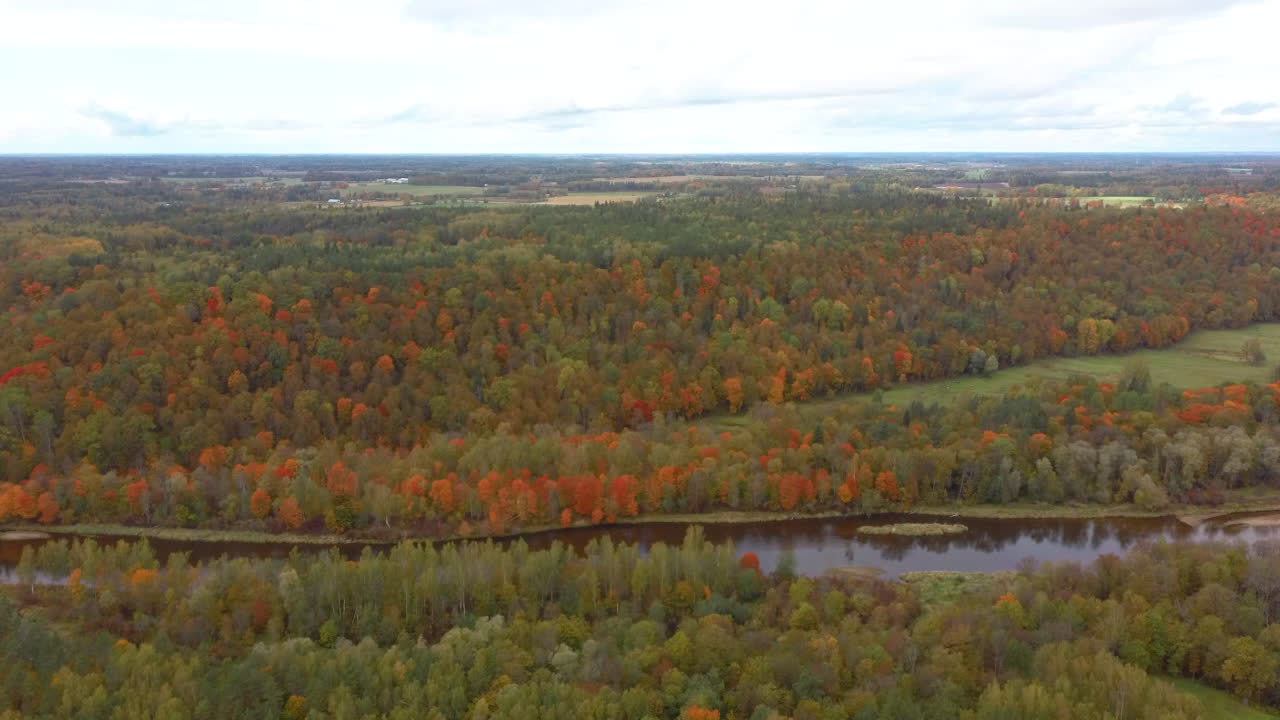 vista del paisaje otoñal del río gauja por bosques coloridos árboles amarillos naranjas y verdes, día soleado