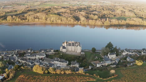 aerial of the chateau de montsoreau and surrounding vineyards in autumn