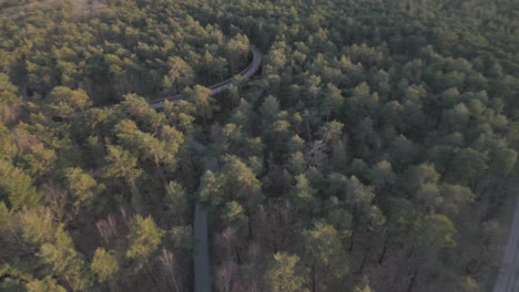 sendero para ciclistas en zonas forestales elevado a las copas de los árboles