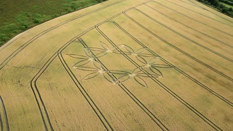 Flower-design-crop-circle-in-wheat-field,-orbiting-drone-shot,-United-Kingdom