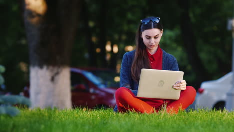 female student sitting on the grass in the park uses a laptop hd video