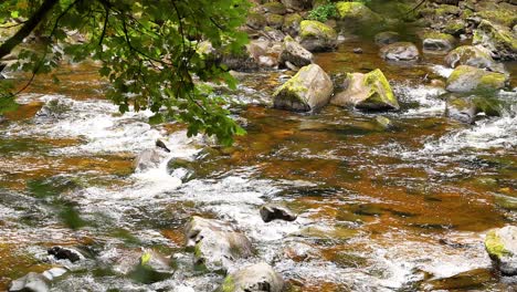 waterfall flowing over rocks in lush greenery