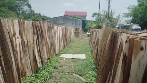 stacked wood planks drying outdoors