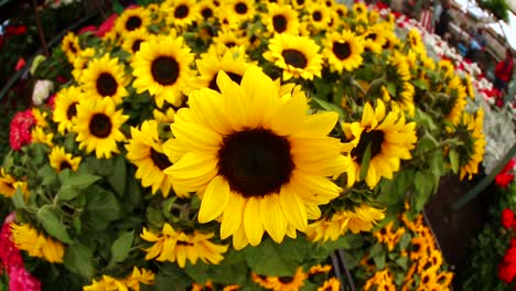 bunch of sunflowers market fisheye view