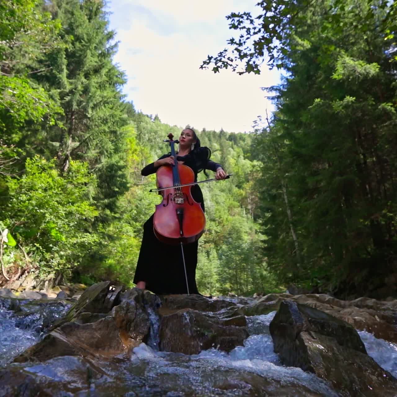 Beautiful woman playing cello