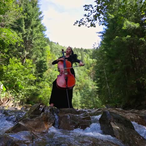beautiful woman playing cello