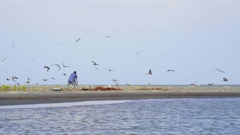 man on the beach taking pictures, sea shore full of gulls birds flying around him in slow motion