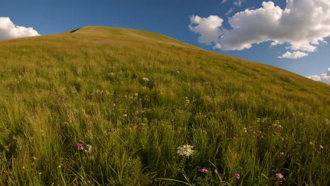 lush green hill under a blue sky with clouds