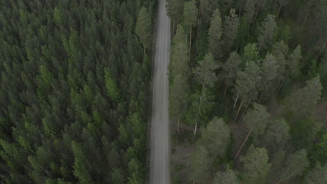 drone top down view of empty road in the woods