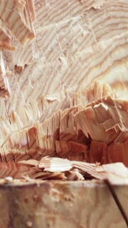 primer plano de las astillas de madera y los granos