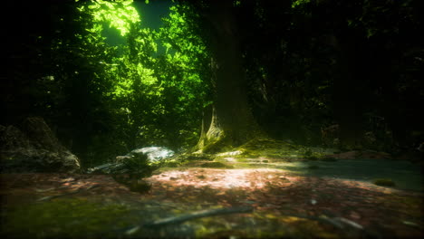 gran plano de musgo verde en un árbol en el bosque