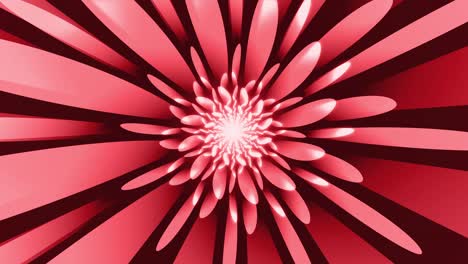 fondo rojo abstracto con rayas de curva radial animación de bucle