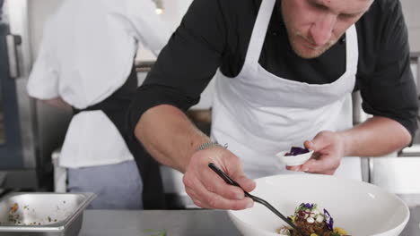 caucasian male chef decorating meal in kitchen, slow motion