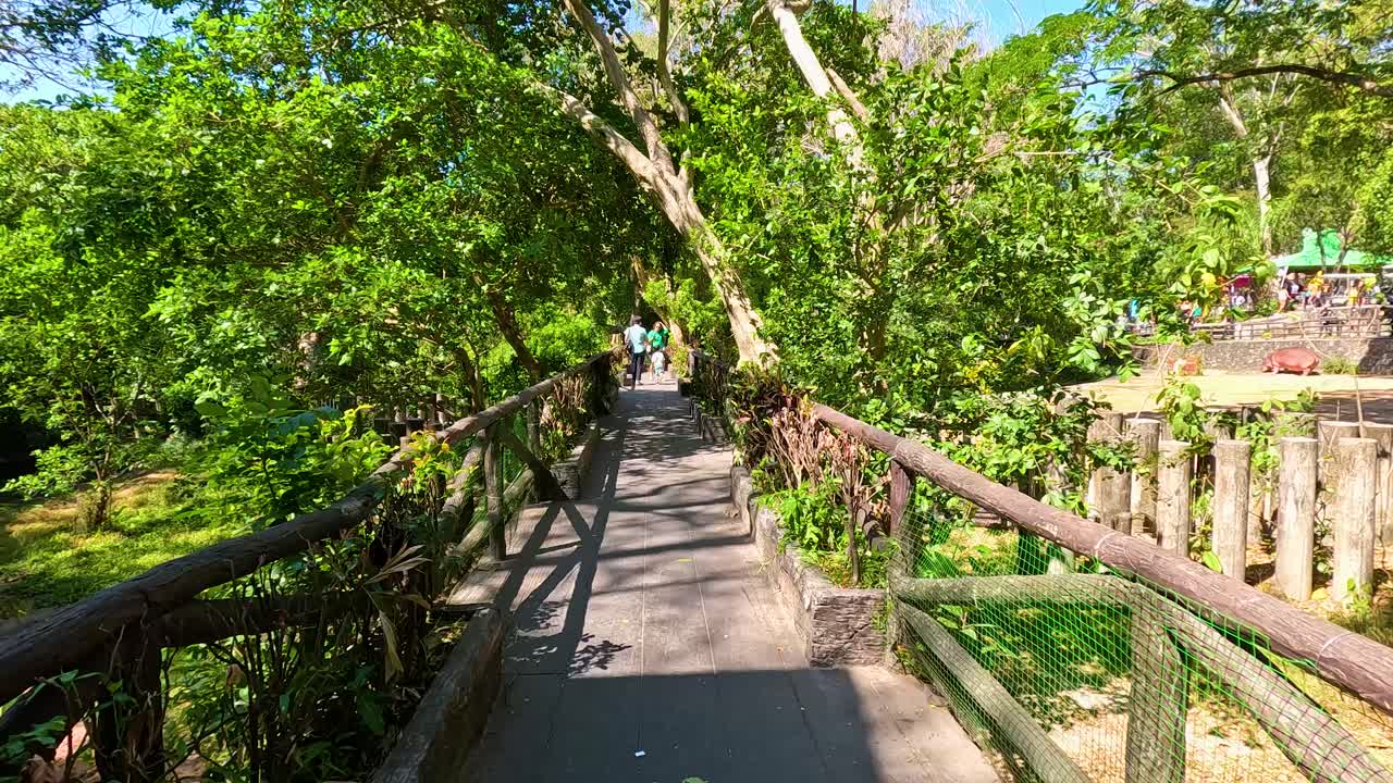 울창 한 초록색 에 있는 다리 를 고 있는 사람 들