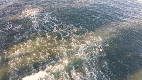 Aerial-view-of-surfers-at-the-Santa-Cruz-Boardwalk-and-Beach-California-shot-in-4k-high-resolution