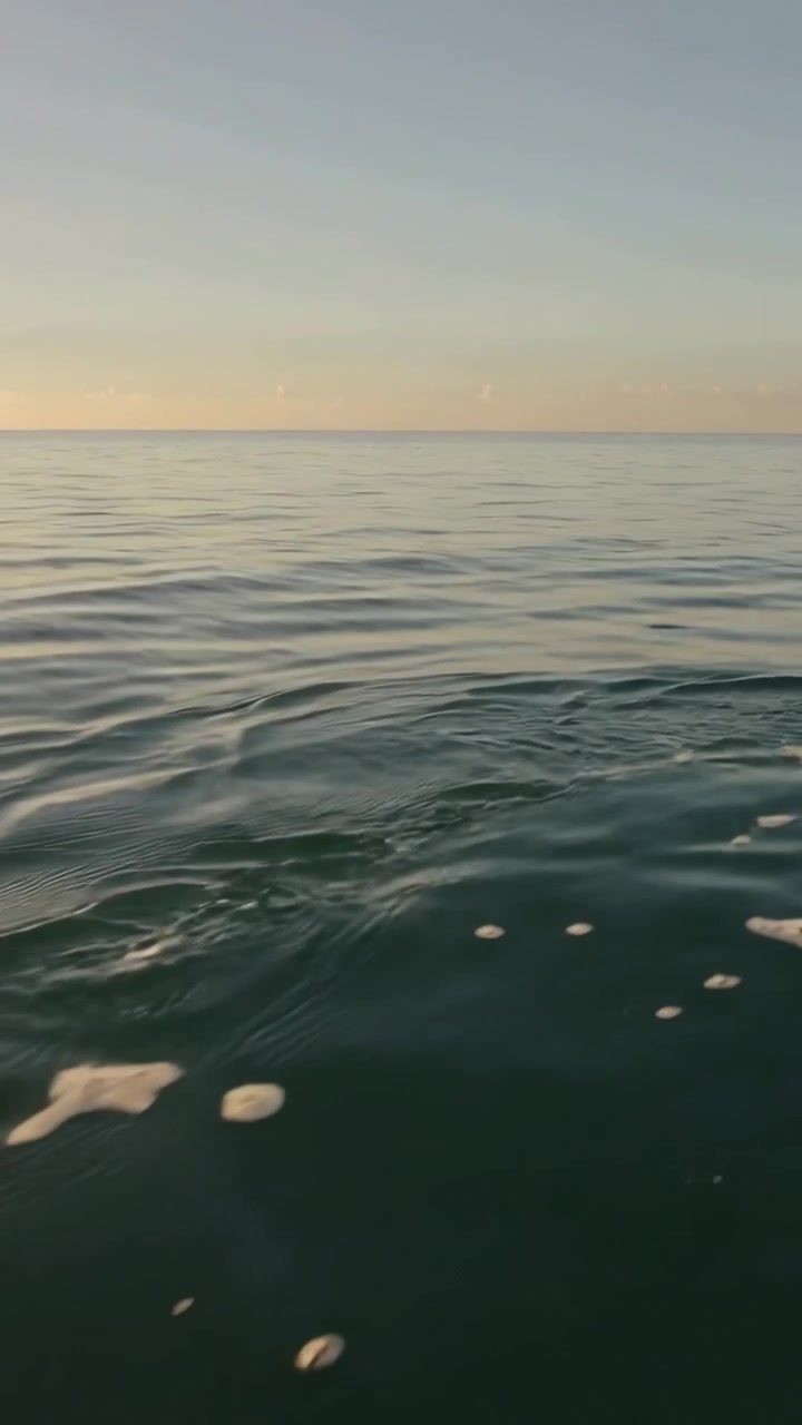 Vertical video: Drifting sea surface rippling under light breeze to distant horizon with foam patch