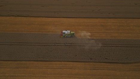 Mähdrescher-Erntet-Effizient-Weizen-Auf-Einem-Feld