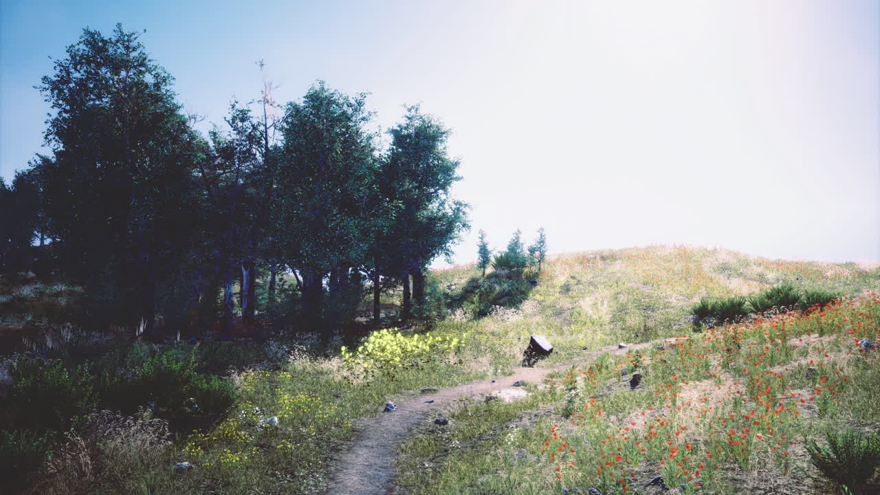 Beautiful outdoor landscape with trees and wildflowers during sunny day