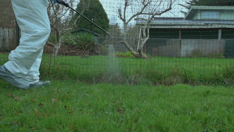 a man spraying poison on the boundary of the property for pest control - close up