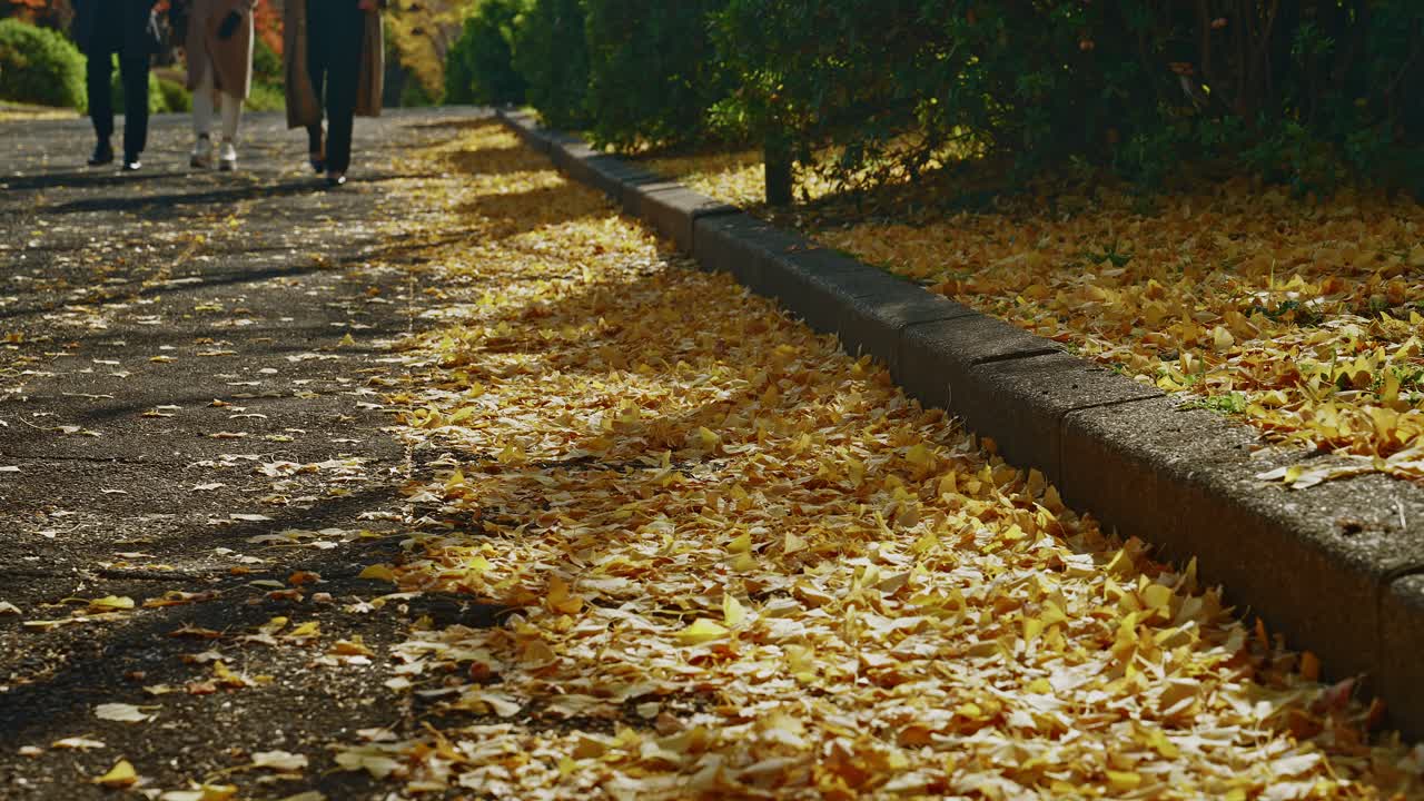 A ground-level view of a park walkway where people walk in the distance, with a stone curb separating the pavement from a thick layer of fallen yellow ginkgo leaves