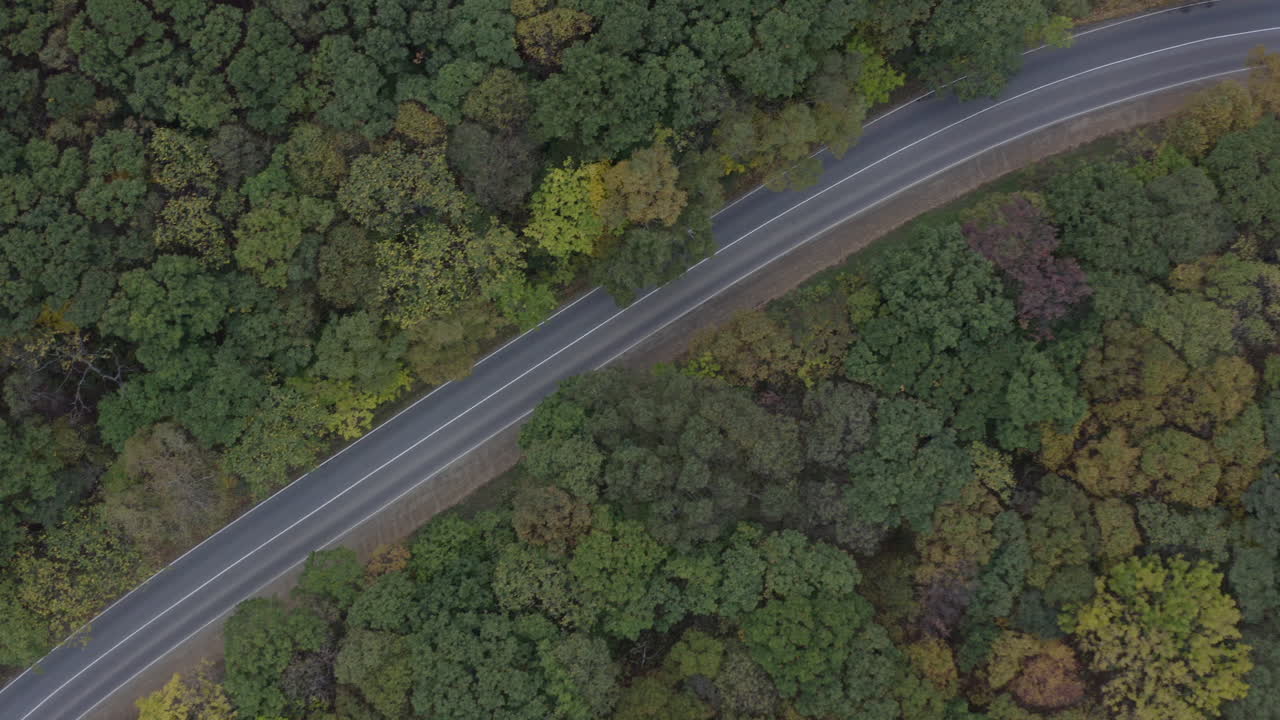 Vista dall'alto di una strada a due corsie in mezzo a una foresta autunnale con foglie d'albero dalle diverse sfumature di verde