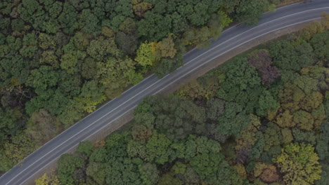 top view of a two lane road in the midst of autumn forest with different green hues tree leaves