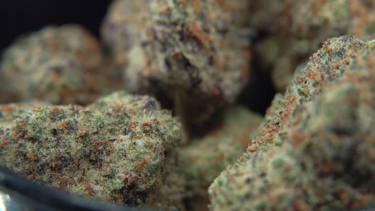 Macro of a premium cannabis bud rotating on a 360-degree display stand, showcasing its rich trichomes, vibrant purple hues, and intricate texture. Ideal for showcasing top-tier cannabis products 4k