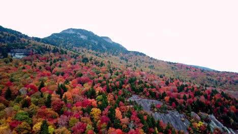 vivid leaf color, grandfather mountain nc, grandfather mountain north carolina