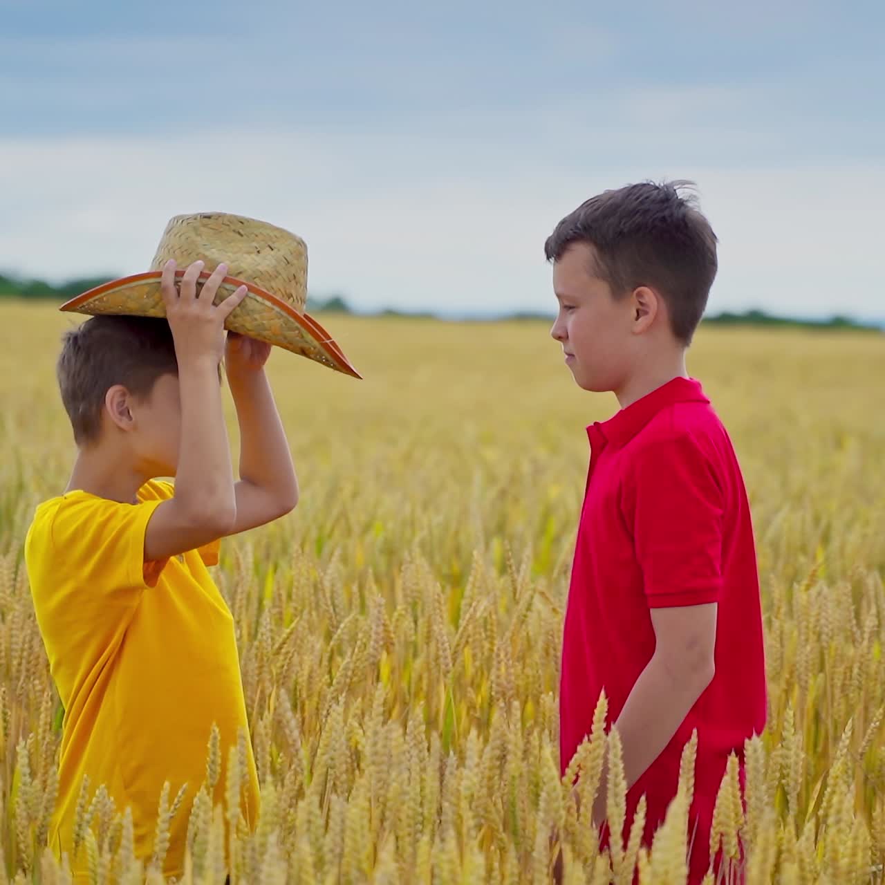 Boys on yellow field. Little boy in yellow t-shirt gives straw hat to his elder brother among agricultural plants in the countryside. Little farmers outdoors.
