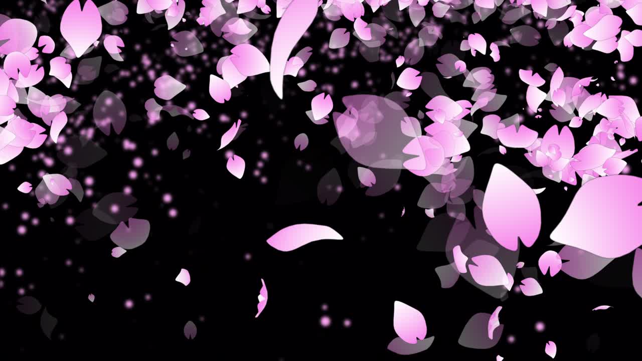 사쿠라 체리 꽃 입자 애니메이션