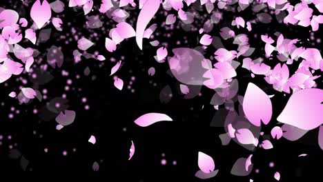 animación de partículas de la flor del cerezo sakura