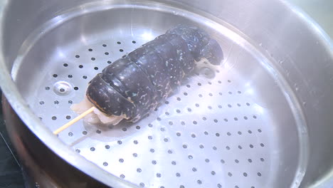 steaming lobster