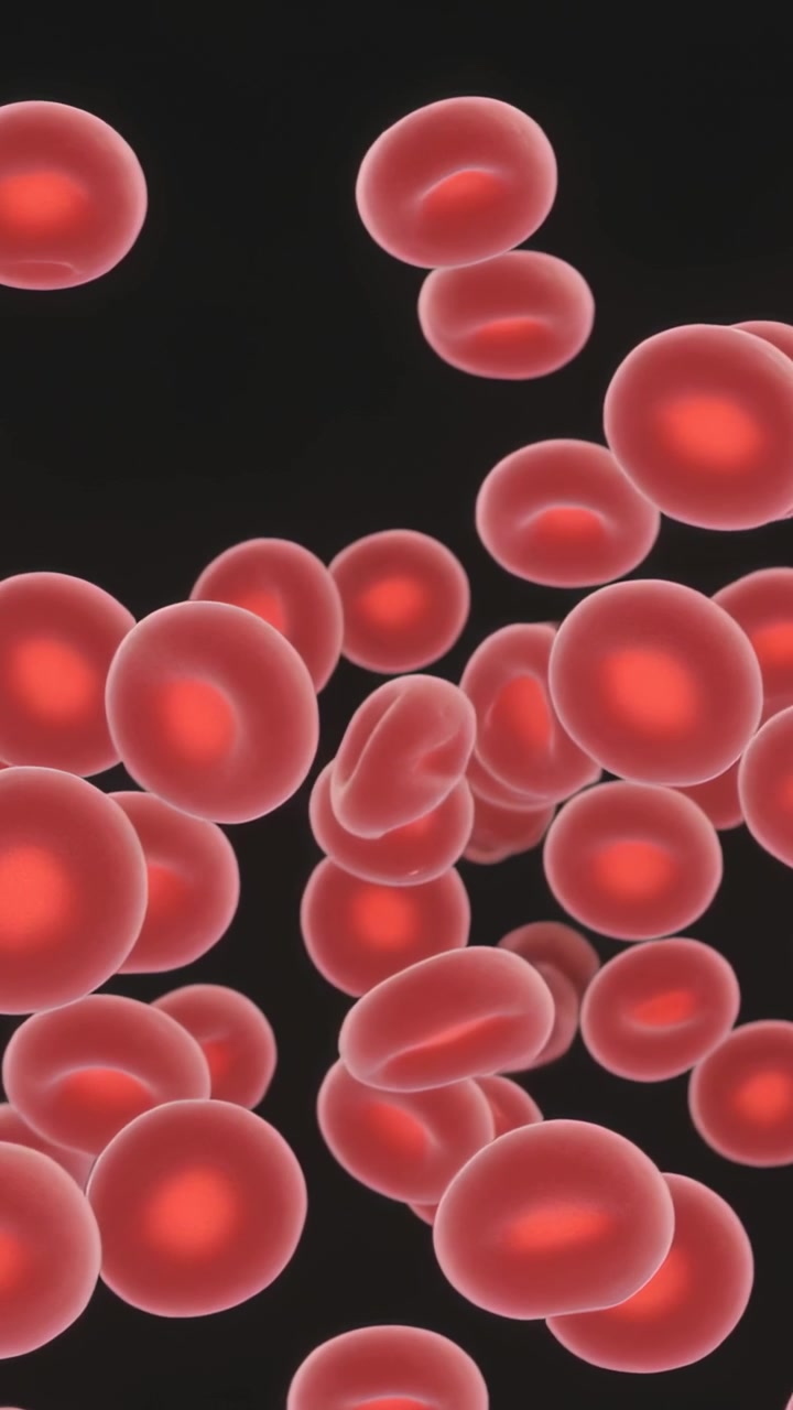 Vertical video: Drifting red blood cells rotating as incoming cells entering frame through lumen