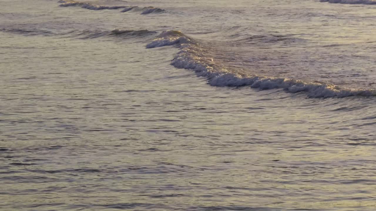 Sunset ocean scenery with wide waves breaking at beach