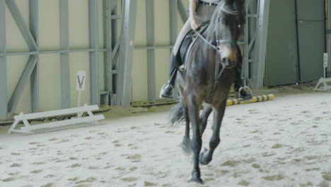 equestrian training session with horse and rider in indoor arena