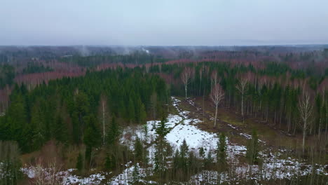 Bosques-De-Coníferas-A-Principios-De-Invierno-Con-Parches-De-Nieve-Y-Cielo-Sombrío.