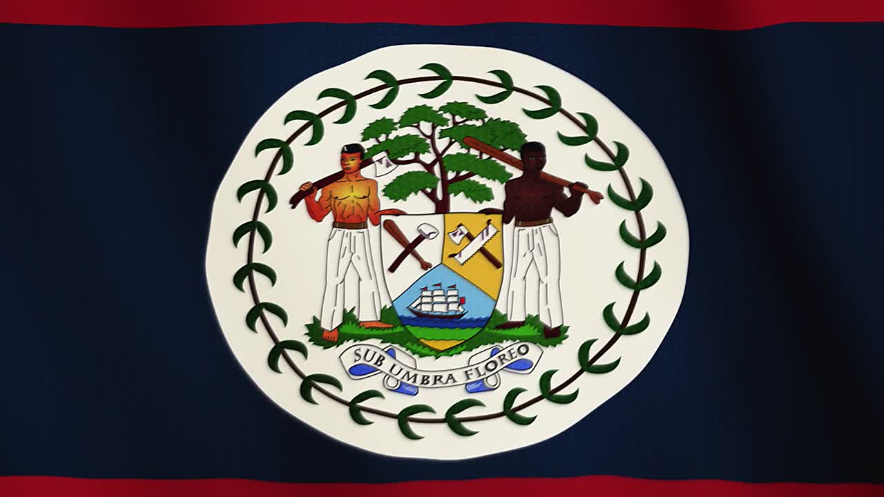 Belize flag waving animation. Full Screen. Symbol of the country