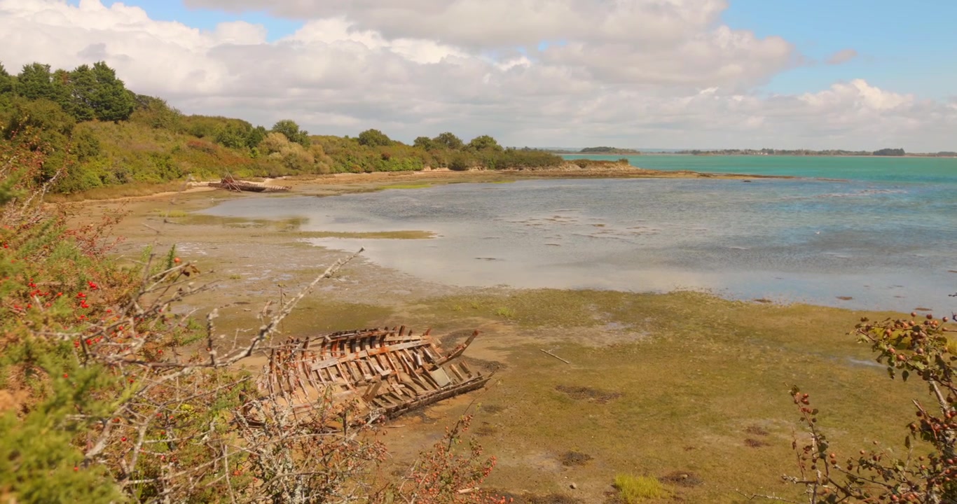 Ein verwittertes hölzernes Bootswrack ruht am Gezeitenstrand nahe am Wasser, dahinter üppiges Grün.