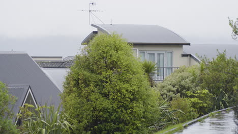 rainy weather on a peaceful residential neighbourhood. close-up shot