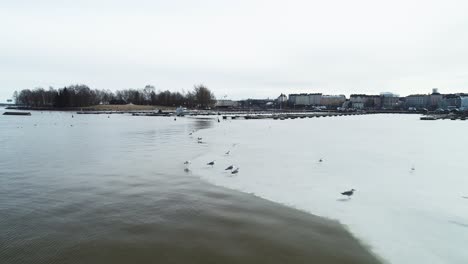 Moving-shot-of-some-birds-standing-and-flying-from-an-ice-shelf-in-Helsinki,-Finland